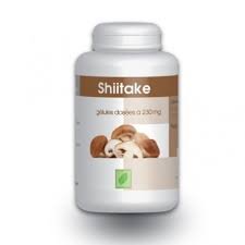 Shiitake 100 Gélules